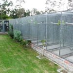 Aviaries