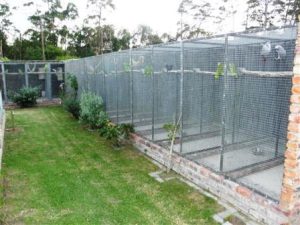 Aviaries